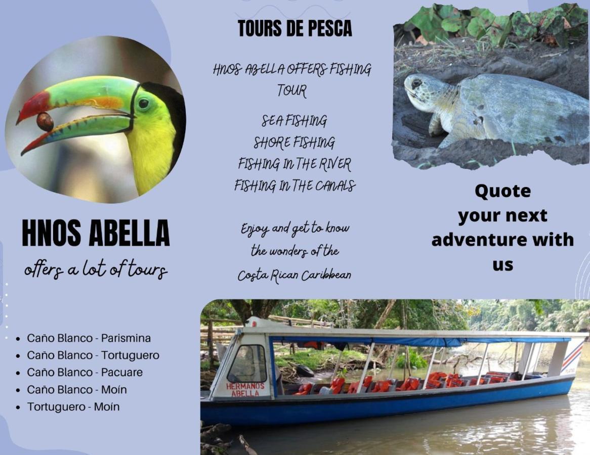 Sleep&Go! Cabina Cuadruple En Siquirres Centro - And Rafting Tour! Siqurres Da Alegria Экстерьер фото